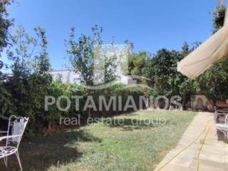 Εξωτερικός χώρος,Πίσω Αυλή