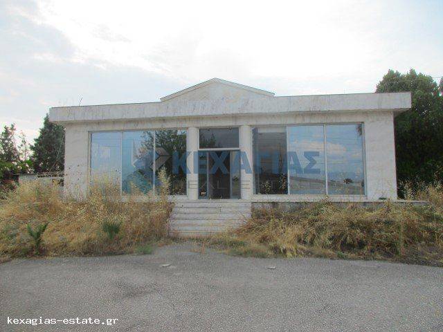 ΕΞΩΤΕΡΙΚΗ ΛΗΨΗ