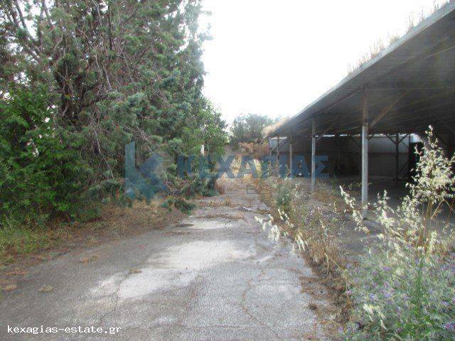 ΕΞΩΤΕΡΙΚΗ ΛΗΨΗ