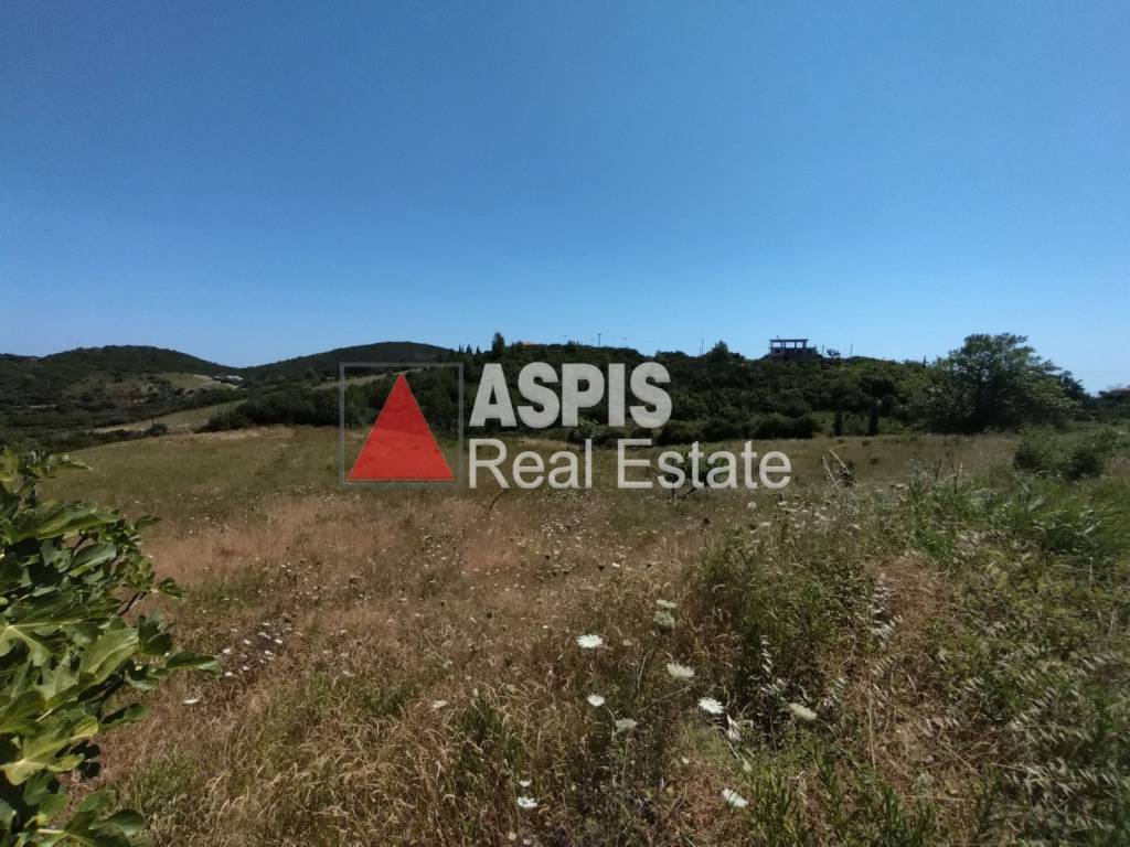 Εξωτερικοι χώροι