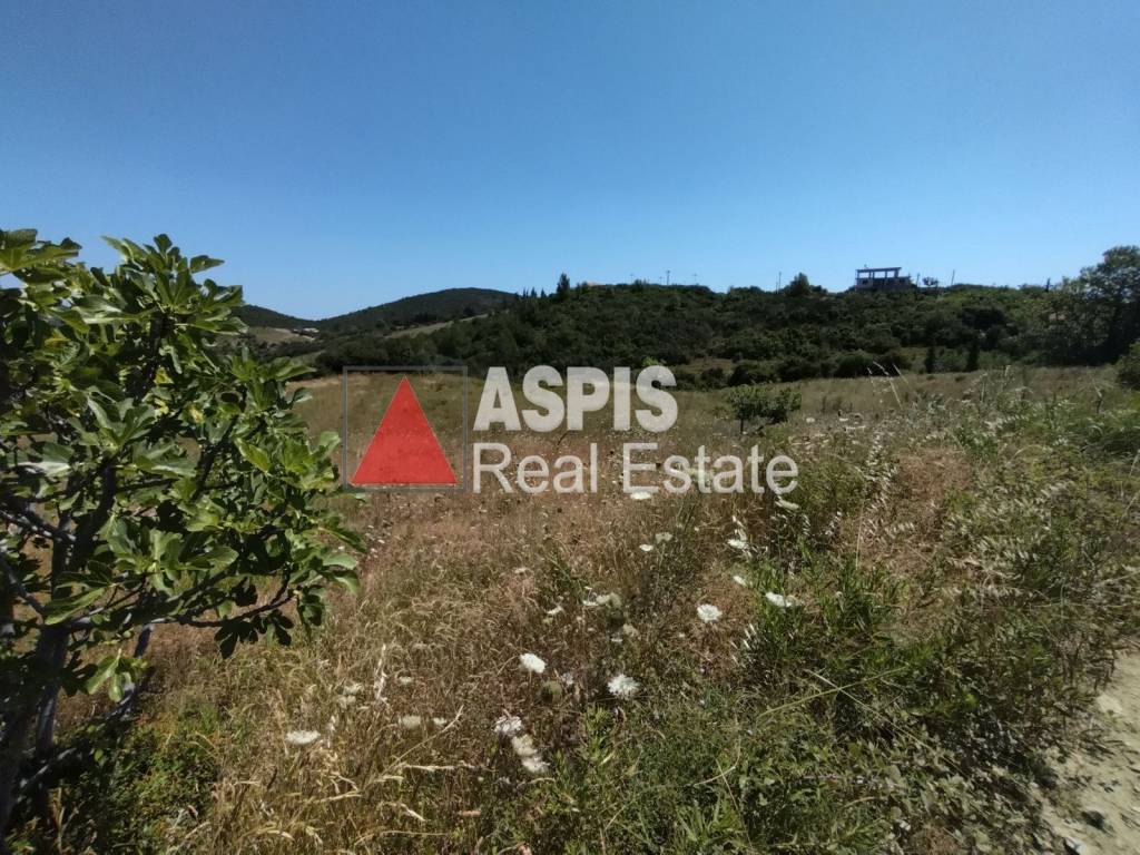 Εξωτερικοι χώροι