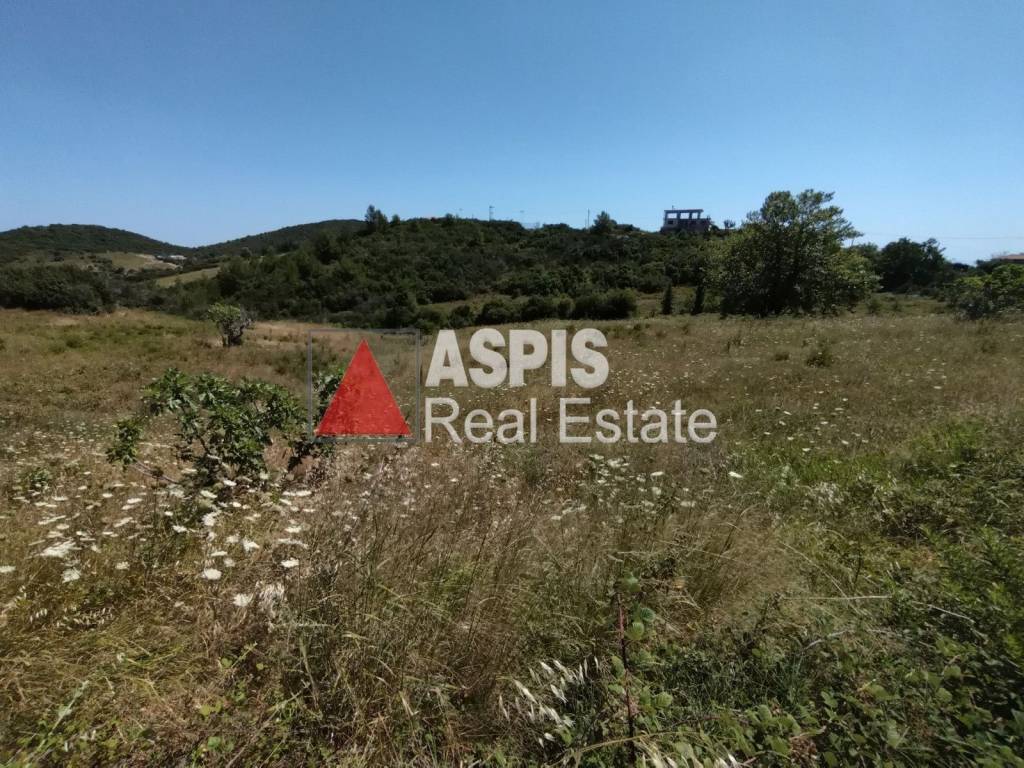 Εξωτερικοι χώροι