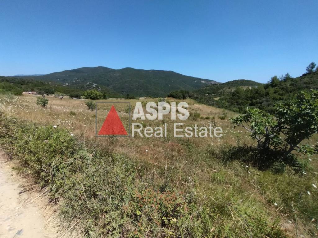 Εξωτερικοι χώροι