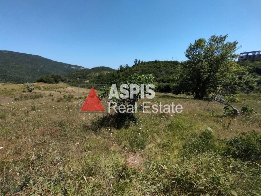 Εξωτερικοι χώροι