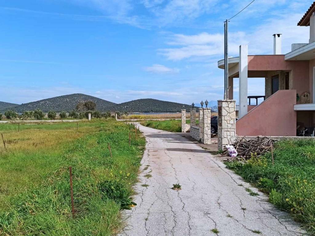 Εξωτερικοι χώροι