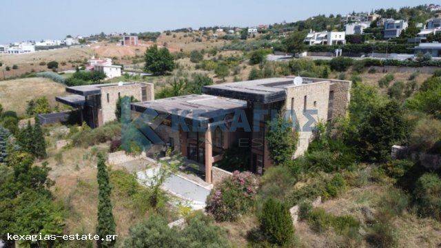 ΠΑΝΟΡΑΜΙΚΗ ΛΗΨΗ