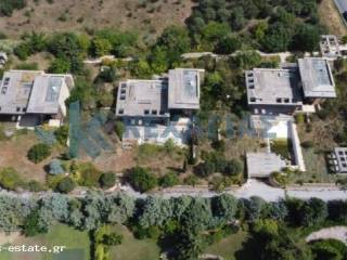 ΠΑΝΟΡΑΜΙΚΗ ΛΗΨΗ