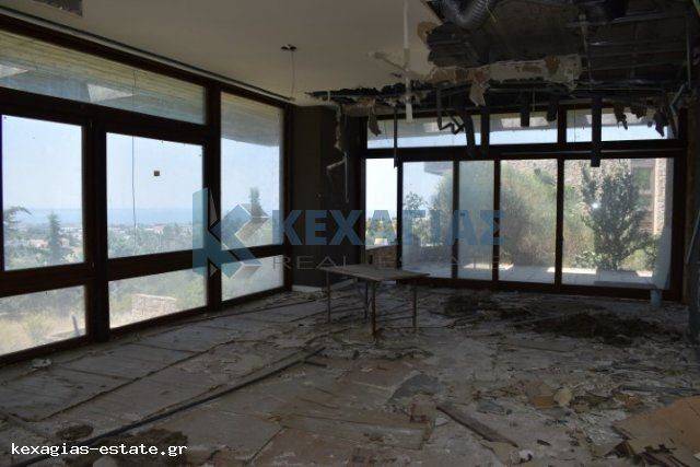 ΕΣΩΤΕΡΙΚΗ ΛΗΨΗ