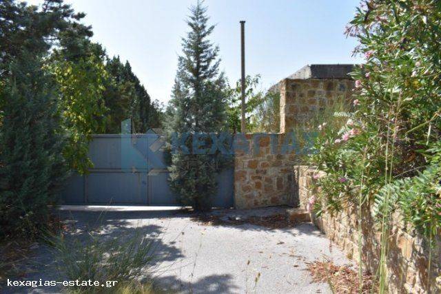 ΕΞΩΤΕΡΙΚΗ ΛΗΨΗ