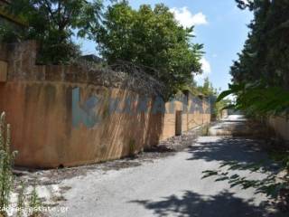 ΕΞΩΤΕΡΙΚΗ ΛΗΨΗ