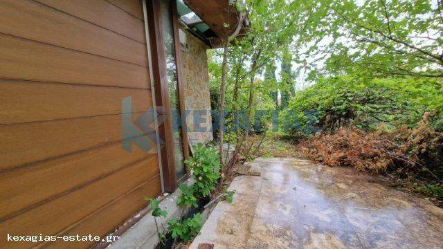 ΕΞΩΤΕΡΙΚΗ ΛΗΨΗ