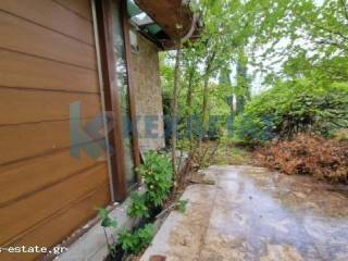 ΕΞΩΤΕΡΙΚΗ ΛΗΨΗ