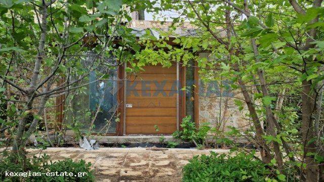 ΕΞΩΤΕΡΙΚΗ ΛΗΨΗ