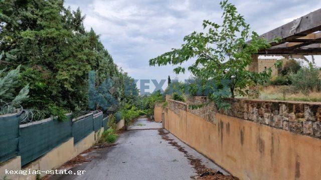 ΕΞΩΤΕΡΙΚΗ ΛΗΨΗ