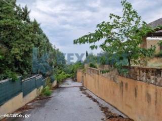 ΕΞΩΤΕΡΙΚΗ ΛΗΨΗ