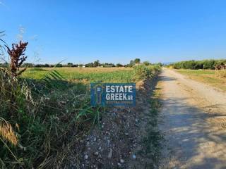 ★ Κτίζει 3.800τμ ★ ΑΠΟΚΛΕΙΣΤΙΚΟΤΗΤΑ ★ Δεν δίνεται αντιπαροχή ★ 500μ ΑΠΟ ΘΑΛΑΣΣΑ