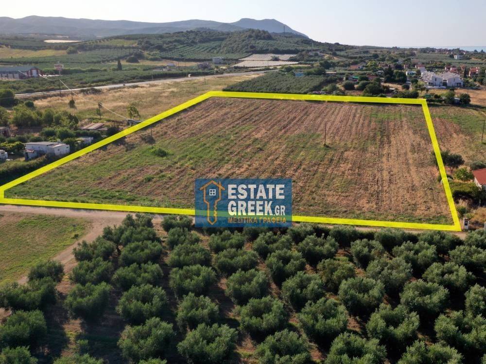 ★ Κτίζει 3.800τμ ★ ΑΠΟΚΛΕΙΣΤΙΚΟΤΗΤΑ ★ Δεν δίνεται αντιπαροχή ★ 500μ ΑΠΟ ΘΑΛΑΣΣΑ