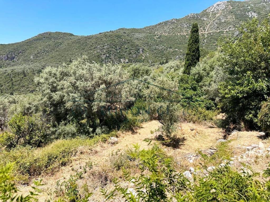 Η θέα από τη μονοκατοικία