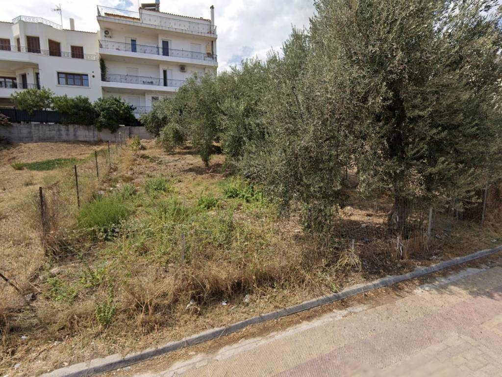 Εξωτερικοι χώροι