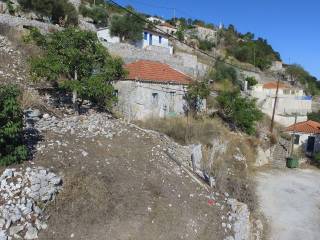 View of the property