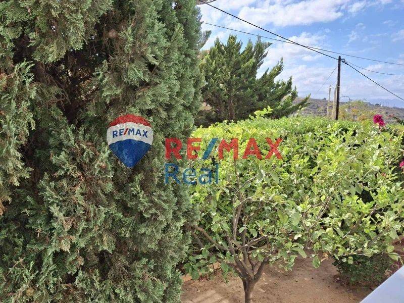 Ύπαρξη ανθρώπου