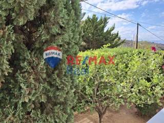 Ύπαρξη ανθρώπου