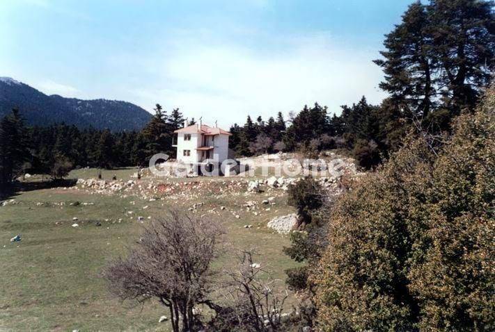 Εξωτερικός Χώρος