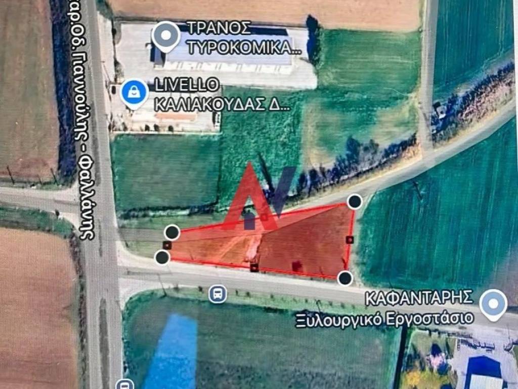 οικόπεδο δασοχώρι4.jpg