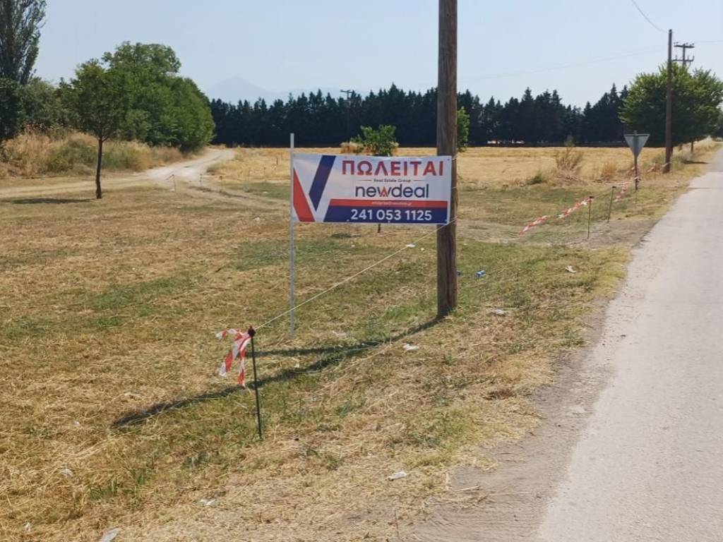 πανό δασ2.jpg