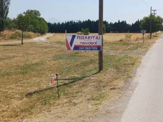 πανό δασ2.jpg