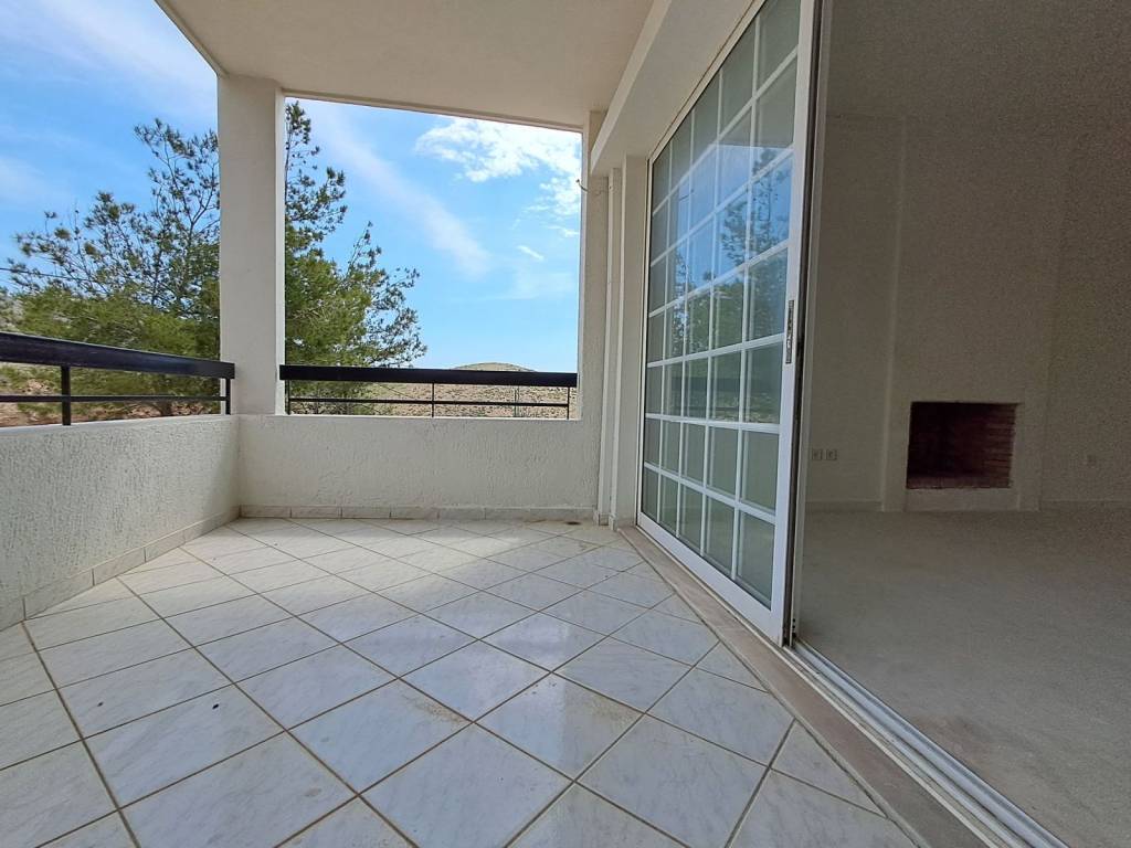 20250504_112523 (1).jpg