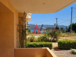 IMG-84c680ba23b834256d44e555c7f90e72-V - Αντιγραφή.jpg