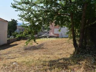 ΑΠΟΨΗ ΟΙΚΟΠΕΔΟΥ