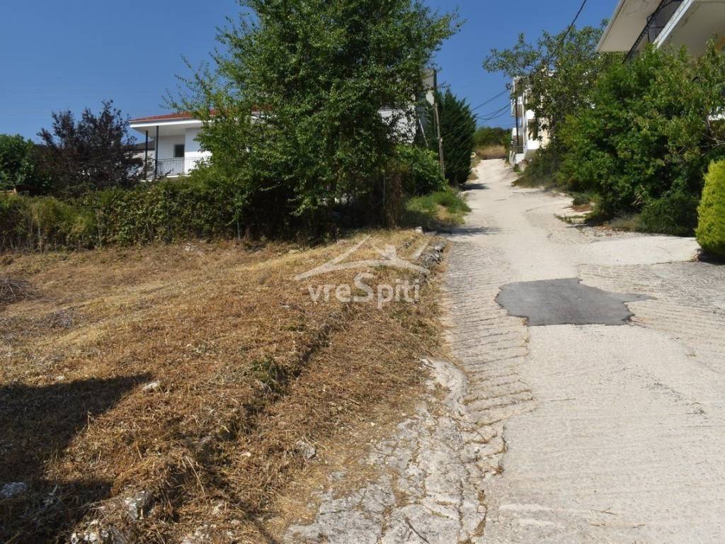 ΑΠΟΨΗ ΟΙΚΟΠΕΔΟΥ