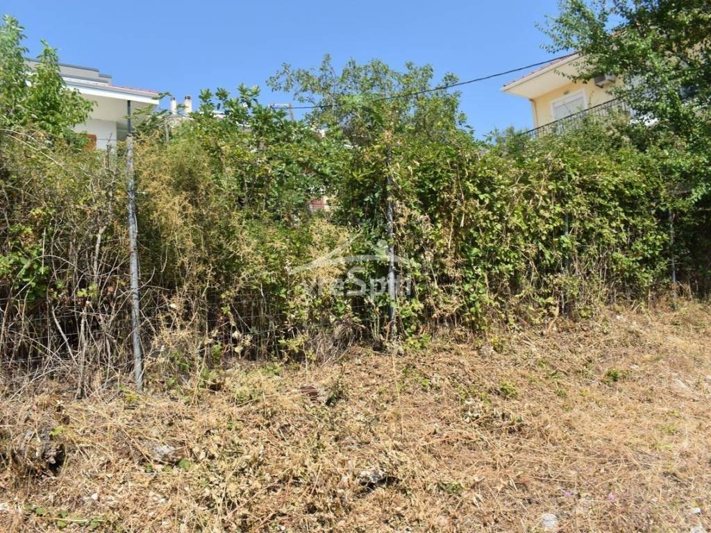 ΑΠΟΨΗ ΟΙΚΟΠΕΔΟΥ