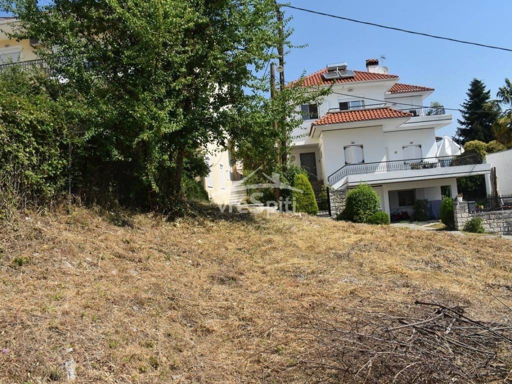 ΑΠΟΨΗ ΟΙΚΟΠΕΔΟΥ