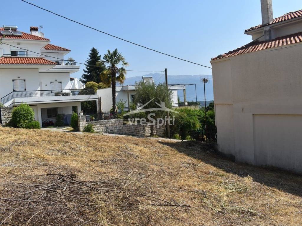 ΑΠΟΨΗ ΟΙΚΟΠΕΔΟΥ