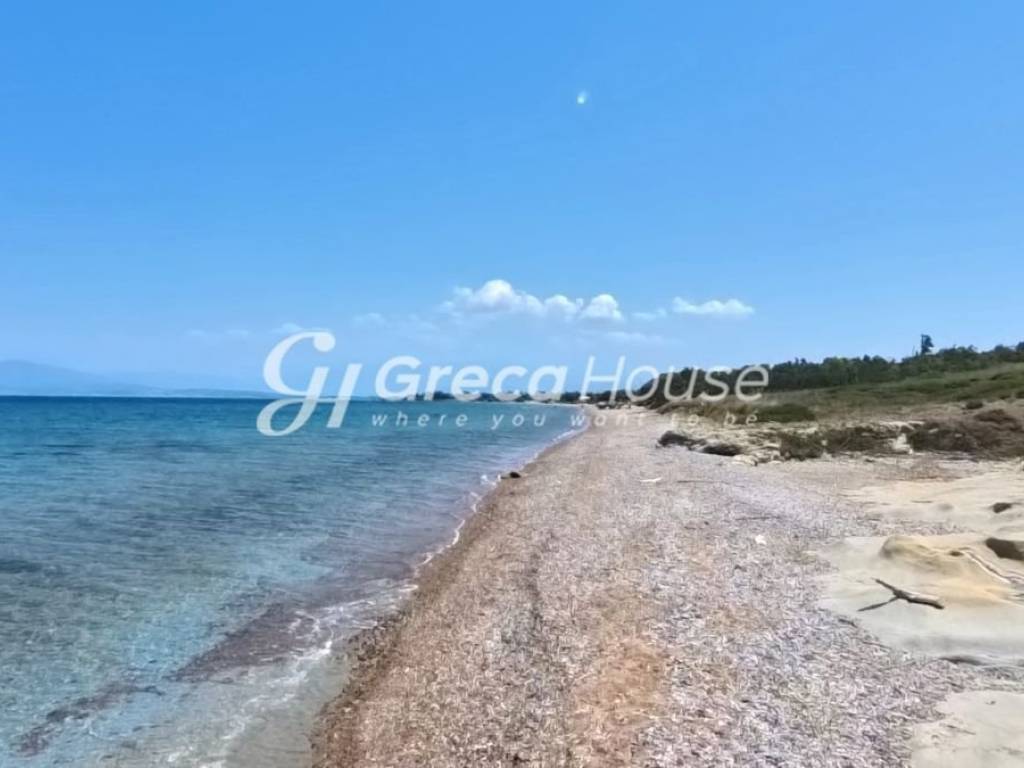 Παραθαλάσσιο Οικόπεδο στην Αχαΐα  Ιδανικό για Τουριστική Ανά