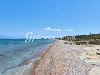 Παραθαλάσσιο Οικόπεδο στην Αχαΐα  Ιδανικό για Τουριστική Ανά