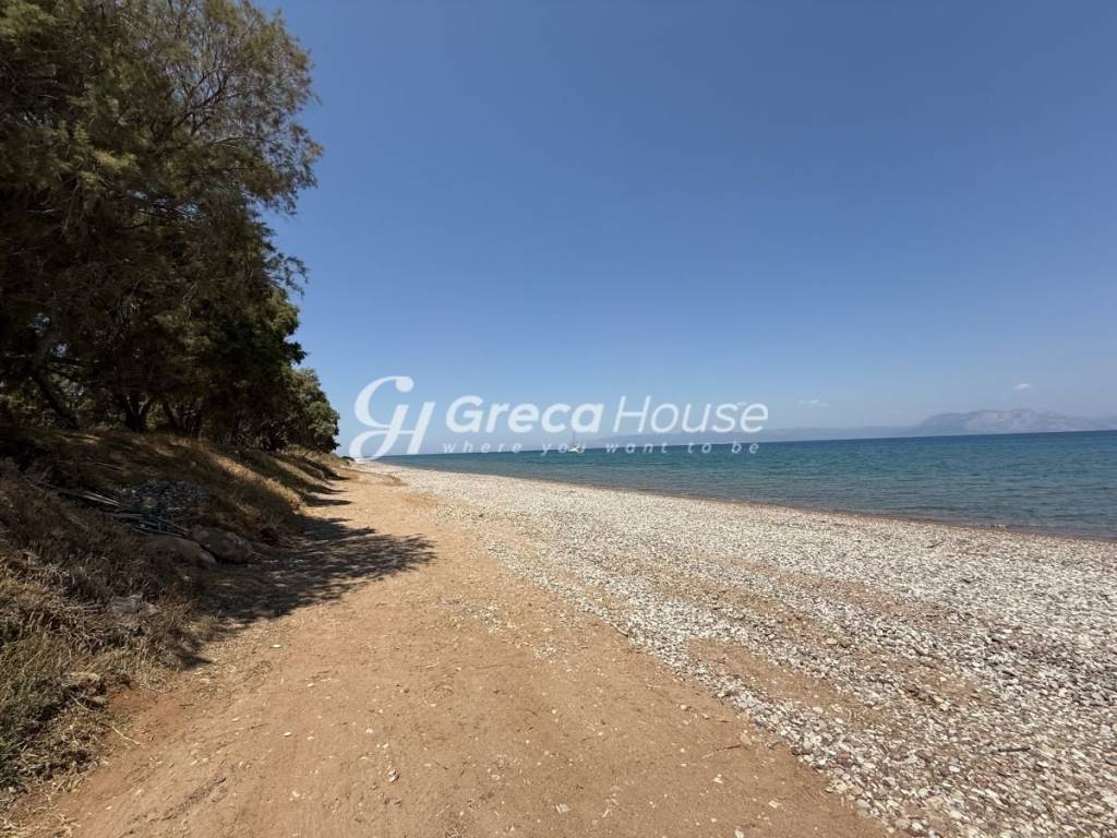 Παραθαλάσσιο Οικόπεδο στην Αχαΐα  Ιδανικό για Τουριστική Ανά