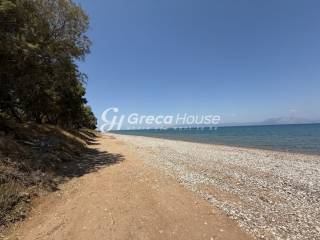 Παραθαλάσσιο Οικόπεδο στην Αχαΐα  Ιδανικό για Τουριστική Ανά