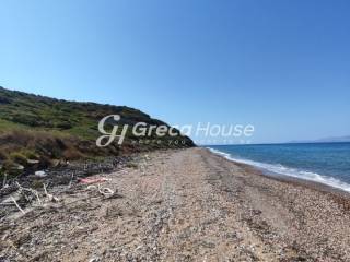 Παραθαλάσσιο Οικόπεδο στην Αχαΐα  Ιδανικό για Τουριστική Ανά