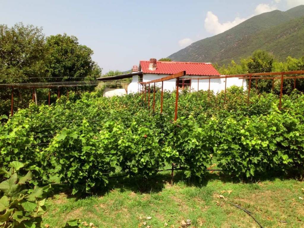 κτημα με 4000 τμ με οικια στους προποδες του μπελες