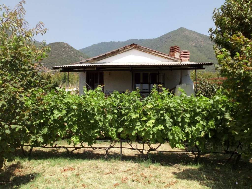 κτήμα  με οικια  45 τμ με αμπέλι τεσσαρωμ ποκιλιων στους προ