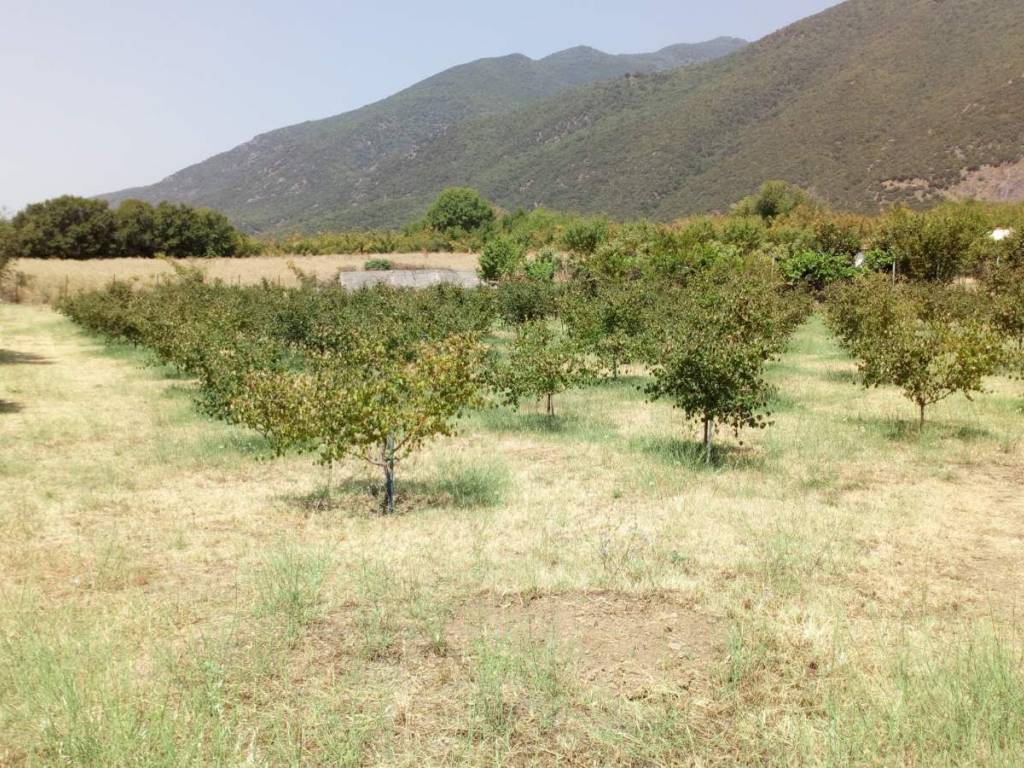 κτήμα  με οικία στους προποδες του μπέλες κοντά στην λίμνη κ