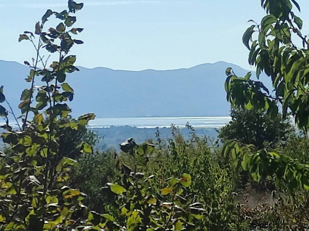 κτημα με οικια - με 100 ριζες κρανιές στους προποδες του μπε