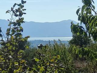 κτημα με οικια - με 100 ριζες κρανιές στους προποδες του μπε