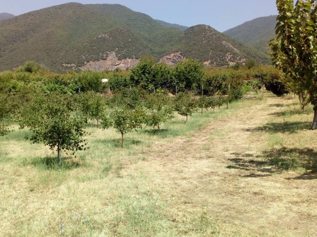 κτήμα 4000 τετραγωνικών μέτρων  με οικία στους προποδες του