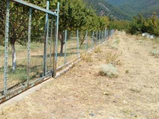 κτήμα 4000 τετραγωνικών μέτρων  με οικία περιφραγμένο στους