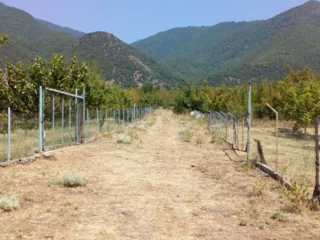 κτήμα με οικία περιφραγμένη στους πρόποδες του μπέλες